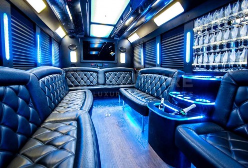 Party Bus (20-22 passengers)