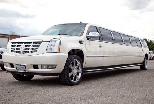 Stretched Limousine - Cadillac (18-20 passengers)