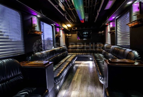 Party Bus (28-30 passengers)